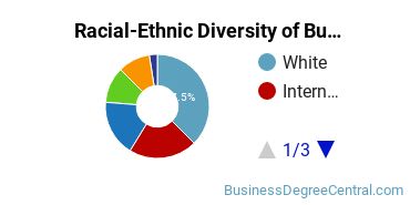 Racial-ethnic diversity of Business Administration & Management majors at Embry-Riddle Aeronautical University-Daytona Beach