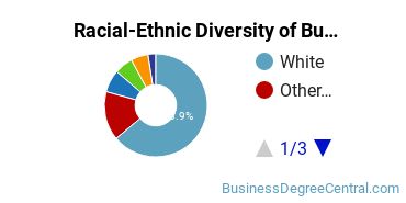 Racial-ethnic diversity of Business Administration & Management majors at Erie Community College