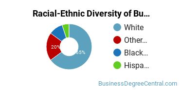 Racial-ethnic diversity of Business Administration & Management majors at Erskine College