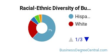 Racial-ethnic diversity of Business Administration & Management majors at Estrella Mountain Community College