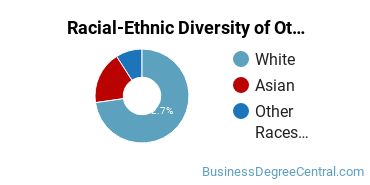 Racial-Ethnic Diversity of Other Marketing Majors at Evangel University