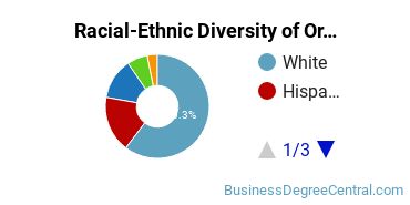 Racial-Ethnic Diversity of Organizational Leadership Majors at Excelsior College