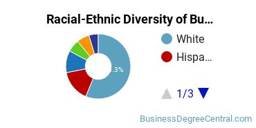 Racial-ethnic diversity of Business Administration & Management majors at Fairleigh Dickinson University-Florham Campus