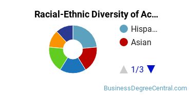 Racial-Ethnic Diversity of Accounting Majors at Fairleigh Dickinson University - Metropolitan Campus