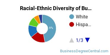 Racial-ethnic diversity of Business Administration & Management majors at Fairleigh Dickinson University-Metropolitan Campus