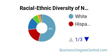 Racial-Ethnic Diversity of Non-Profit/Public/Organizational Management Majors at Fairleigh Dickinson University - Metropolitan Campus