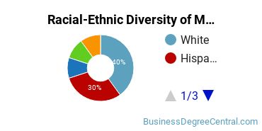 Racial-Ethnic Diversity of Marketing/Marketing Management, General Majors at Fairleigh Dickinson University - Metropolitan Campus
