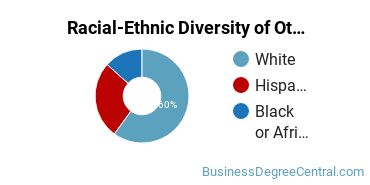 Racial-Ethnic Diversity of Other Entrepreneurial and Small Business Operations Majors at Fashion Institute of Technology
