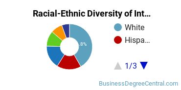 Racial-Ethnic Diversity of International Marketing Majors at Fashion Institute of Technology