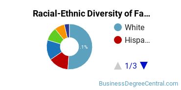 Racial-Ethnic Diversity of Fashion Merchandising Majors at Fashion Institute of Technology