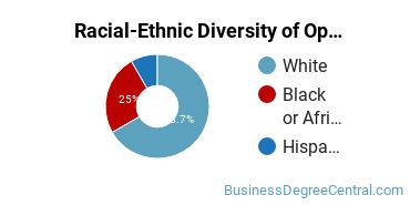 Racial-Ethnic Diversity of Operations Management Majors at Fayetteville Technical Community College