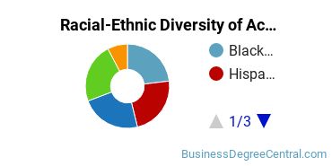 Racial-Ethnic Diversity of Accounting Majors at Felician University