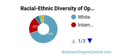 Racial-Ethnic Diversity of Operations Management Majors at Ferris State University