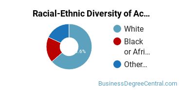 Racial-Ethnic Diversity of Accounting Majors at Ferrum College