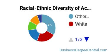 Racial-Ethnic Diversity of Accounting Majors at Fisher College