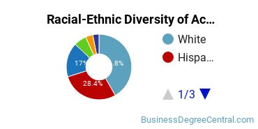 Racial-Ethnic Diversity of Accounting Majors at Florida Atlantic University