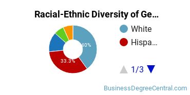 Racial-Ethnic Diversity of General Economics Majors at Florida Atlantic University