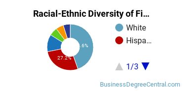 Racial-Ethnic Diversity of Finance Majors at Florida Atlantic University