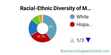 Racial-ethnic diversity of Management Information Systems majors at Florida Atlantic University