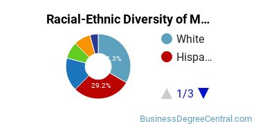 Racial-ethnic diversity of Management Information Systems majors at Florida Atlantic University