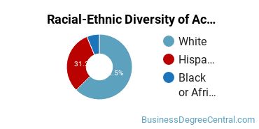 Racial-Ethnic Diversity of Accounting Majors at Florida Gulf Coast University