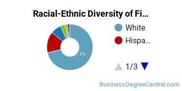 Racial-Ethnic Diversity of Finance Majors at Florida Gulf Coast University
