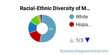 Racial-ethnic diversity of Management Information Systems majors at Florida Gulf Coast University