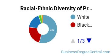 Racial-Ethnic Diversity of Project Management Majors at Florida Institute of Technology - Online