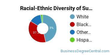 Racial-Ethnic Diversity of Supply Chain Management Majors at Florida Institute of Technology - Online