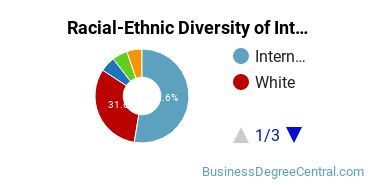 Racial-Ethnic Diversity of International Business/Trade/Commerce Majors at Florida Institute of Technology