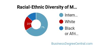 Racial-ethnic diversity of Management Information Systems majors at Florida Institute of Technology