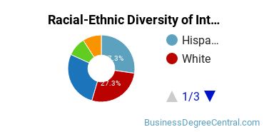 Racial-Ethnic Diversity of International & Intercultural Communication Majors at Florida Institute of Technology
