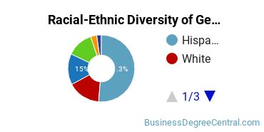 Racial-Ethnic Diversity of General Business Administration and Management Majors at Florida International University