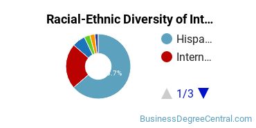 Racial-Ethnic Diversity of International Business/Trade/Commerce Majors at Florida International University