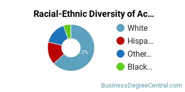 Racial-Ethnic Diversity of Accounting Technology/Technician and Bookkeeping Majors at Florida State College at Jacksonville