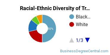 Racial-Ethnic Diversity of Transportation/Mobility Management Majors at Florida State College at Jacksonville