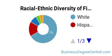 Racial-Ethnic Diversity of Finance Majors at Florida State University