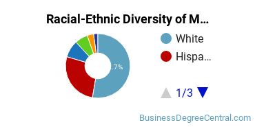Racial-ethnic diversity of Management Information Systems majors at Florida State University