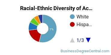 Racial-Ethnic Diversity of Actuarial Science Majors at Florida State University