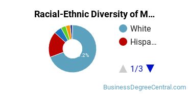 Racial-Ethnic Diversity of Marketing/Marketing Management, General Majors at Florida State University