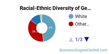 Racial-Ethnic Diversity of General Business/Commerce Majors at Fort Lewis College