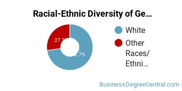 Racial-Ethnic Diversity of General Economics Majors at Fort Lewis College