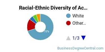Racial-Ethnic Diversity of Accounting Majors at Franklin University