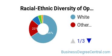 Racial-Ethnic Diversity of Operations Management Majors at Franklin University