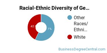 Racial-Ethnic Diversity of General Business/Commerce Majors at Gannon University