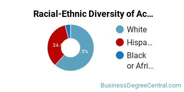 Racial-Ethnic Diversity of Accounting Majors at Gateway Technical College