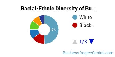 Racial-ethnic diversity of Business Administration & Management majors at George Mason University