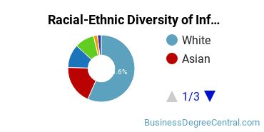 Racial-Ethnic Diversity of Information Resources Management Majors at Georgetown University