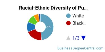 Racial-Ethnic Diversity of Public Relations Majors at Georgetown University