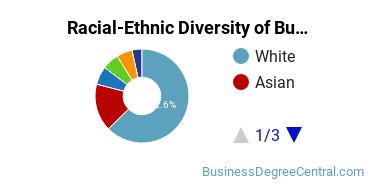 Racial-ethnic diversity of Business Administration & Management majors at Georgia Institute of Technology-Main Campus